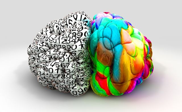 3d fabric sculpture of brain. Left side is black and white with printed numbers. Right side is a bright mix of colours.